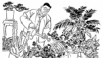 老舍怎樣把養(yǎng)花當作生活中的樂趣