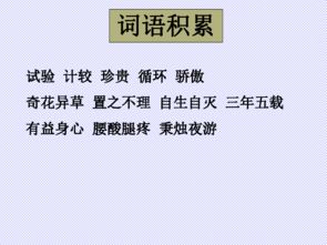 我從老舍養(yǎng)花的我們體會到