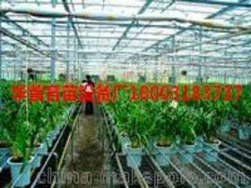 熱鍍鋅養(yǎng)花網