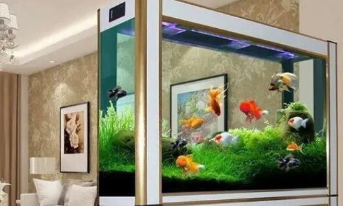 魚(yú)缸放在家中養(yǎng)花好嗎