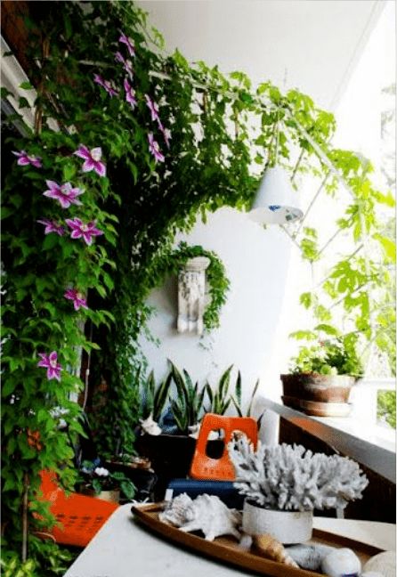陽臺(tái)室外安裝養(yǎng)花架