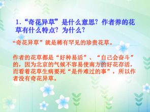 六下冊(cè)語文北師大版養(yǎng)花教案