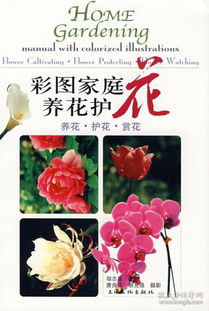 單位養(yǎng)花護(hù)花總結(jié)