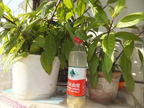 澆花養(yǎng)花的時(shí)間