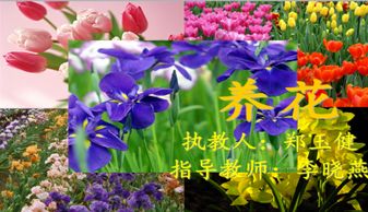 養(yǎng)花的樂(lè)趣教案