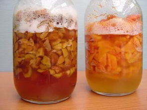 橘子皮腐爛養(yǎng)花
