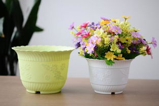 養(yǎng)花用什么花盆比較好