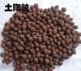 花盆底兒沒(méi)洞能養(yǎng)花嗎