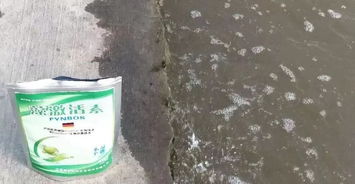 養(yǎng)花的水變長(zhǎng)了藻是哪種藻