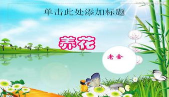簡(jiǎn)要概括養(yǎng)花的樂趣ppt