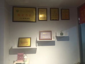 廈門(mén),創(chuàng)新,協(xié)會(huì),電話