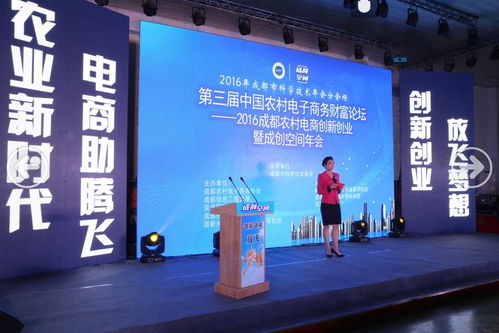創(chuàng)新創(chuàng)業(yè)農(nóng)村電商提問(wèn)