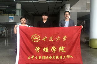 調(diào)查報(bào)告,現(xiàn)狀,創(chuàng)新,創(chuàng)業(yè)