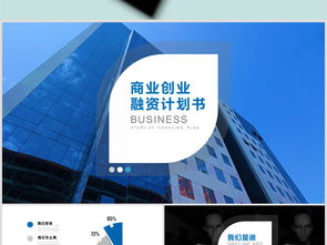 大學(xué)生創(chuàng)新創(chuàng)業(yè)融資計(jì)劃書模板范文