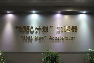 大學(xué)生創(chuàng)業(yè)創(chuàng)新調(diào)查記錄