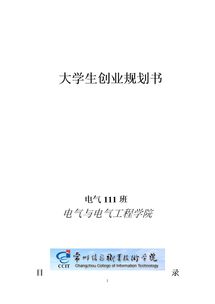 大學(xué)生生創(chuàng)新創(chuàng)業(yè)計(jì)劃書