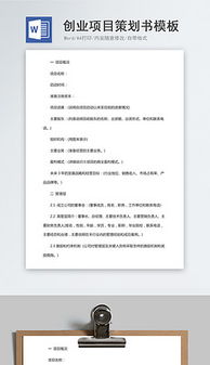創(chuàng)新創(chuàng)業(yè)項目計劃書800字左右