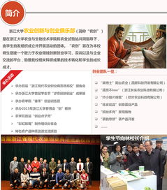 報(bào)告書,調(diào)研,實(shí)踐,創(chuàng)新