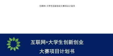 互聯(lián)網(wǎng),計劃書,創(chuàng)業(yè)項目,創(chuàng)新