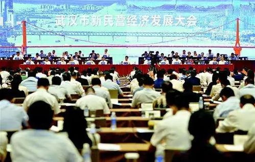 民營經(jīng)濟,新模式,創(chuàng)新,創(chuàng)業(yè)