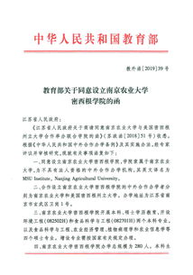 典型,創(chuàng)新,創(chuàng)業(yè),設計