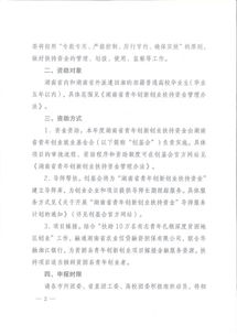 酸奶,申請(qǐng)書,創(chuàng)新,創(chuàng)業(yè)