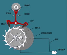 創(chuàng)新創(chuàng)業(yè)比賽項目分工有哪些