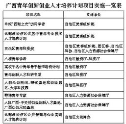 創(chuàng)新創(chuàng)業(yè)計(jì)劃與實(shí)施方案