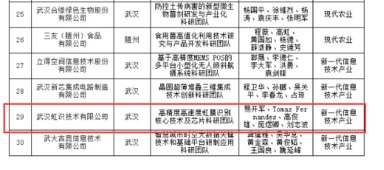 湖北,團隊,戰(zhàn)略,創(chuàng)新