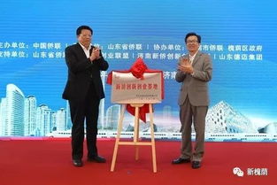 新僑創(chuàng)新創(chuàng)業(yè)示范基地類型