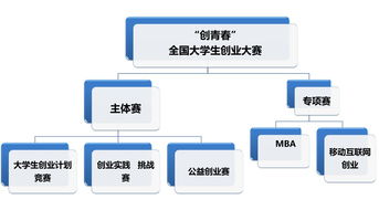 大學(xué)生創(chuàng)新創(chuàng)業(yè)的風(fēng)險(xiǎn)主要成因不包括