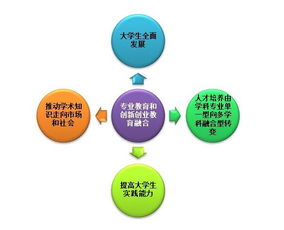 我國高校創(chuàng)新創(chuàng)業(yè)人才培養(yǎng)目標