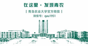 大學(xué)生創(chuàng)新創(chuàng)業(yè)團隊分工有哪些,大學(xué)生創(chuàng)新創(chuàng)業(yè)團隊分工,創(chuàng)新創(chuàng)業(yè)團隊分工介紹