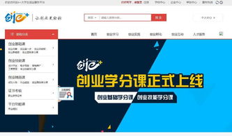 怎么修改大學生創(chuàng)新創(chuàng)業(yè)項目