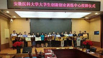 醫(yī)科大學(xué)創(chuàng)新創(chuàng)業(yè)訓(xùn)練計(jì)劃書(shū)