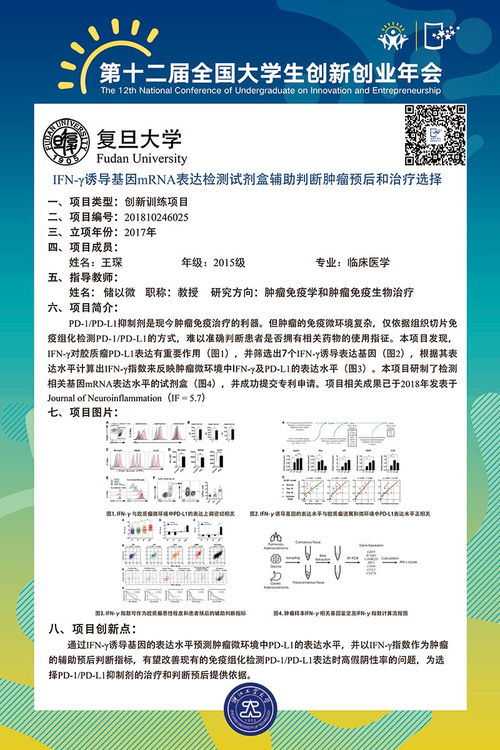 大學(xué)生創(chuàng)新創(chuàng)業(yè)訓(xùn)練計劃心得