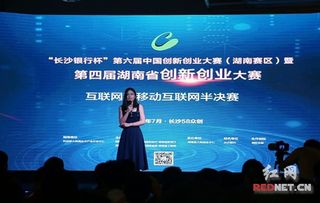 湖南省互聯(lián)網(wǎng)創(chuàng)新創(chuàng)業(yè)大賽