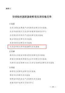 實訓(xùn),創(chuàng)新,創(chuàng)業(yè),論文