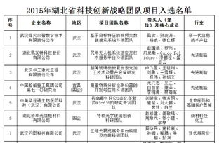 湖北省創(chuàng)新創(chuàng)業(yè)戰(zhàn)略團隊,創(chuàng)新創(chuàng)業(yè)公司戰(zhàn)略,創(chuàng)新創(chuàng)業(yè)與戰(zhàn)略管理