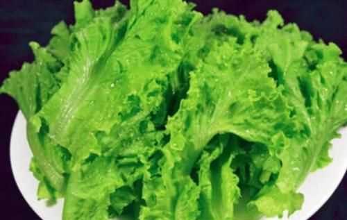 生菜葉片出現(xiàn)銹狀斑點能吃嗎