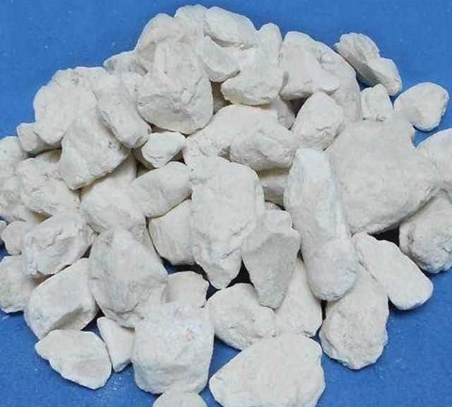 面粉長蟲子了怎么辦，買的面里面有小蟲子怎么辦？圖4