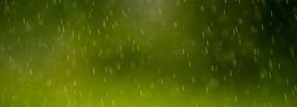 哪些小動(dòng)物能預(yù)知下雨,哪些小動(dòng)物能預(yù)知下雨的視頻圖1