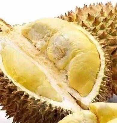 吃榴蓮?fù)昕梢猿院ｕr嗎?