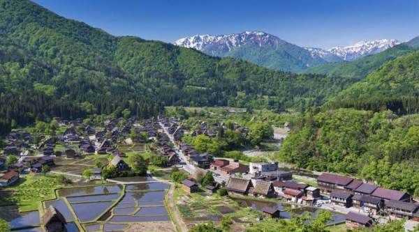 中國(guó)森林覆蓋率最高的城市是,中國(guó)目前哪座城市樹木森林覆蓋率最高的圖4