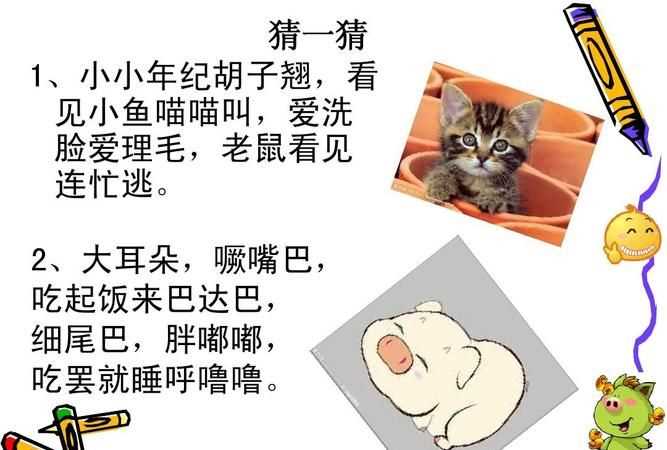 關(guān)于貓的謎語有哪些簡單點的