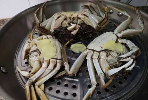 三江螃蟹蒸多長時間