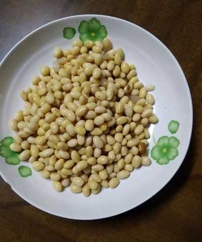 黃豆發(fā)酵長(zhǎng)白毛是發(fā)好了,黃豆醬捂霉長(zhǎng)出白色的毛正常嗎圖5