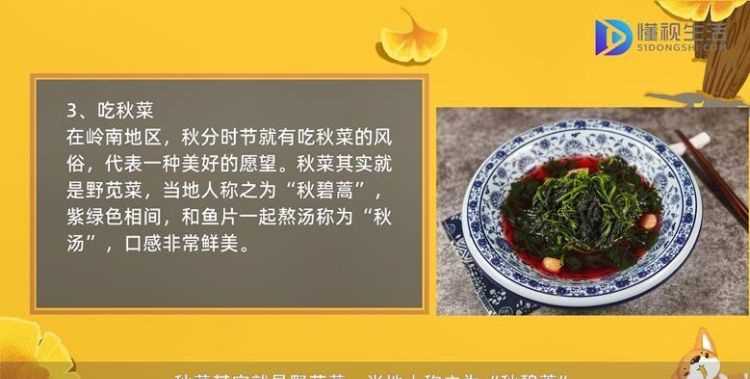 秋天來了手抄報帶字