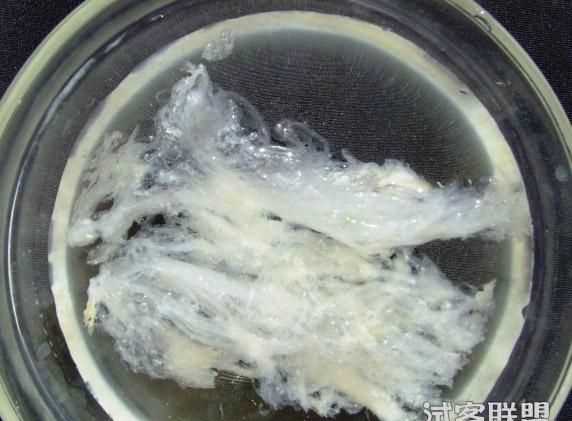 即食燕窩可以用開水沖嗎
