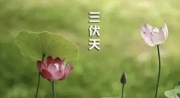 什么時(shí)候初伏天開始,2021三伏天從什么時(shí)候開始到什么時(shí)候結(jié)束圖1